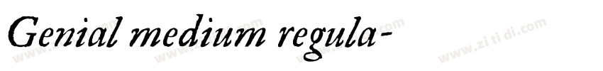 Genial medium regula字体转换